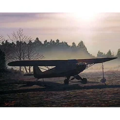 Anticipation Lyons Studios Limited Edition Aviation Print