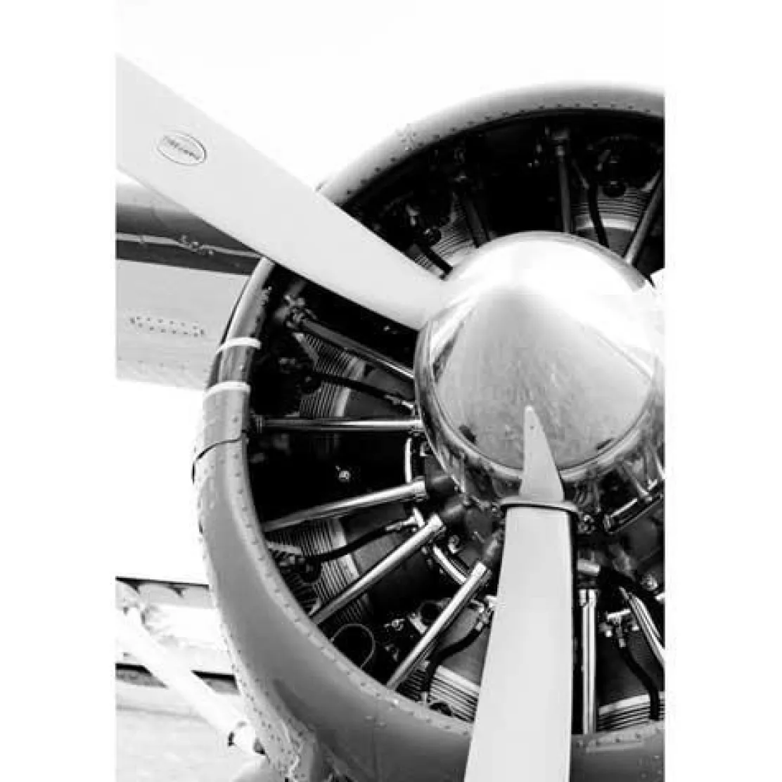 Beaver Steven Greenwald Black & White Aviation Art Print