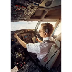 Bose ProFlight Series 2 ANR Aviation Headset Dual Plug, Battery Powered with Bluetooth 789812-5020