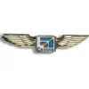 Cessna Wing Pin Aviator Style
