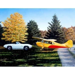 Classic Toys Lyons Studios Limited Edition Aviation Print