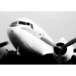 C-47 Steven Greenwald Black & White Aviation Art Print