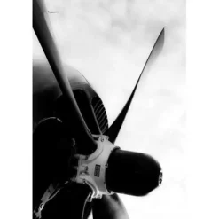 Curtiss Helldiver Steven Greenwald Black & White Aviation Art Print