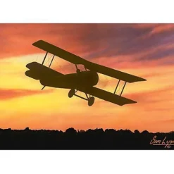 Dawn Flight Lyons Studios Limited Edition Aviation Print