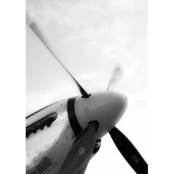 P-51D Mustang Steven Greenwald Black & White Aviation Art Print
