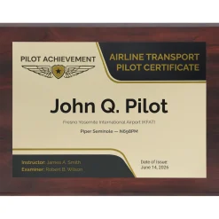 Personalized Airline Transport Pilot Wings Achievement 9 x 12 Plaque