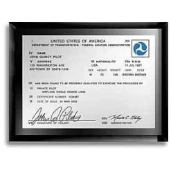 Personalized Classic FAA Pilot License Plaque Black Glass