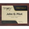 Personalized First Solo Flight Cessna 172 Achievement 9 x 12 Plaque