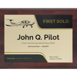 Personalized First Solo Flight Diamond DA40 Achievement 9 x 12 Plaque