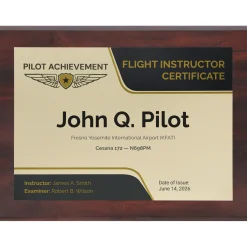 Personalized Flight Instructor Wings Achievement 9 x 12 Plaque