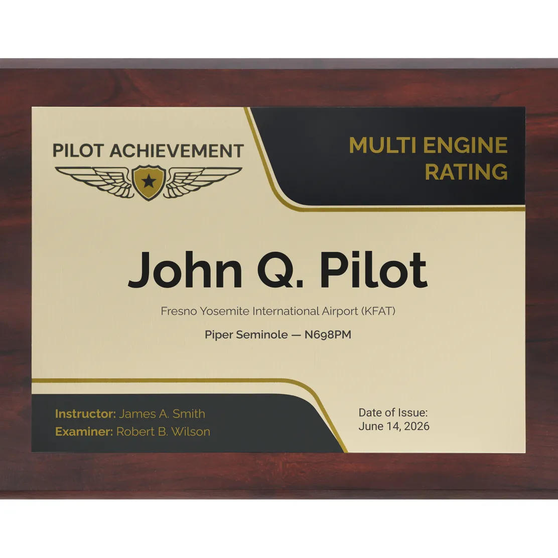 Personalized Multi Engine Rating Wings Achievement 9 x 12 Plaque