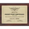 Personalized Pilot Traditional Achievement 9 x 12 Plaque