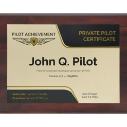 Personalized Private Pilot Wings Achievement 9 x 12 Plaque