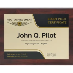 Personalized Sport Pilot Wings Achievement 9 x 12 Plaque