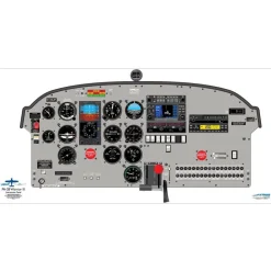Piper 18