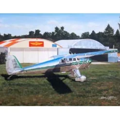 Polished Perfection Lyons Studios Limited Edition Aviation Print