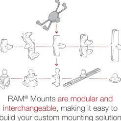 RAM X-Grip Large Phone Holder with Ball - B Size RAM-HOL-UN10BU