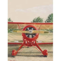Red Bird Lyons Studios Limited Edition Aviation Print