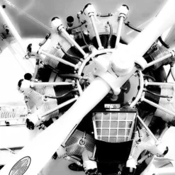 Stearman PT-17 Steven Greenwald Black & White Aviation Art Print