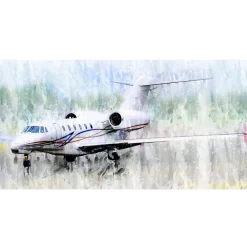 The Cessna Citation X No. 2 Frank Martin Aviation Art Print
