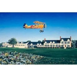 The Dream Lyons Studios Limited Edition Aviation Print