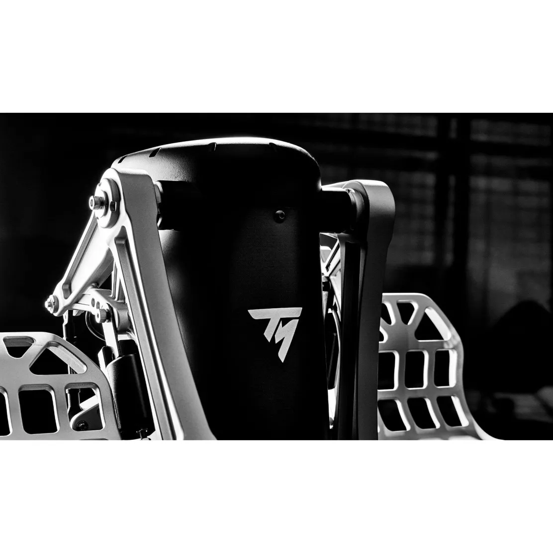 Thrustmaster TPR Pendular Rudder Pedals (PC)