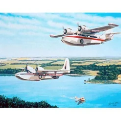 Waterbirds Lyons Studios Limited Edition Aviation Print
